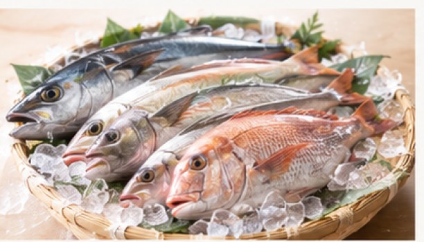 魚へのこだわり